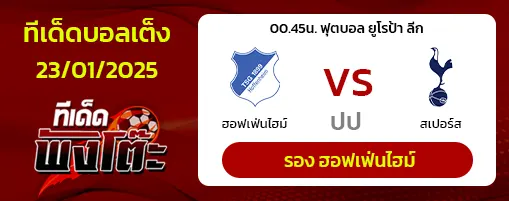 ฮอฟเฟ่นไฮม์ vs สเปอร์ส