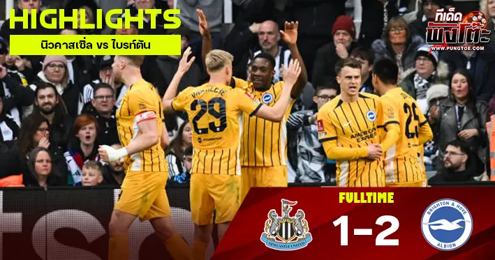 นิวคาสเซิ่ล vs ไบรท์ตัน