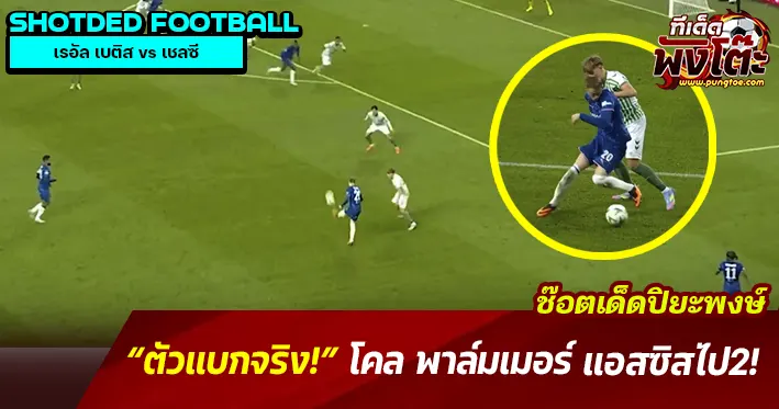 พาล์มเมอร์2แอสซิสต์