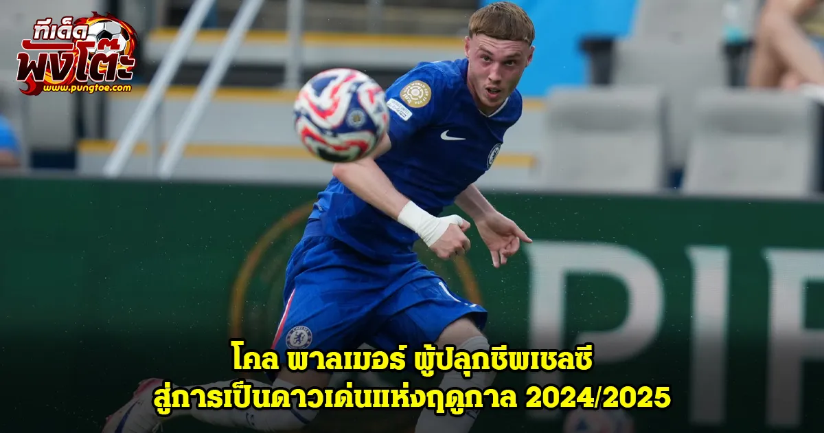 พาลเมอร์