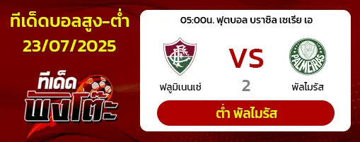 ฟลูมิเนนเซ่ vs พัลไมรัส