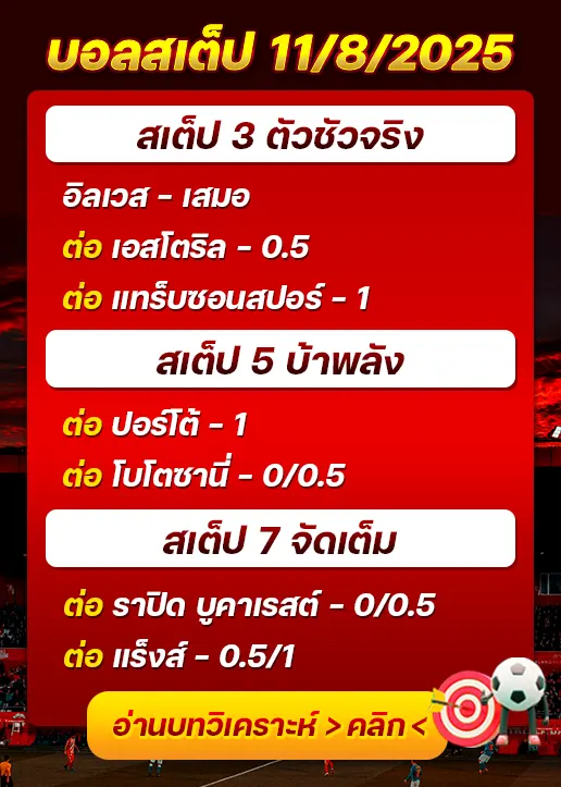 สเต็ป11/08/2025