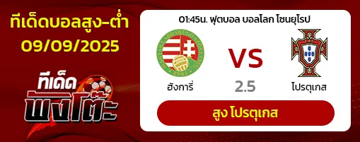 ฮังการี vs โปรตุเกส